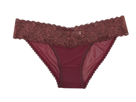 Mesh and Lace Classic Cheeky, XS-2X