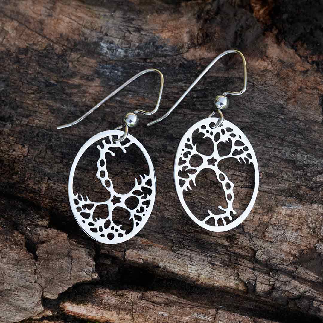 Princess Awesome & Boy Wonder Earrings