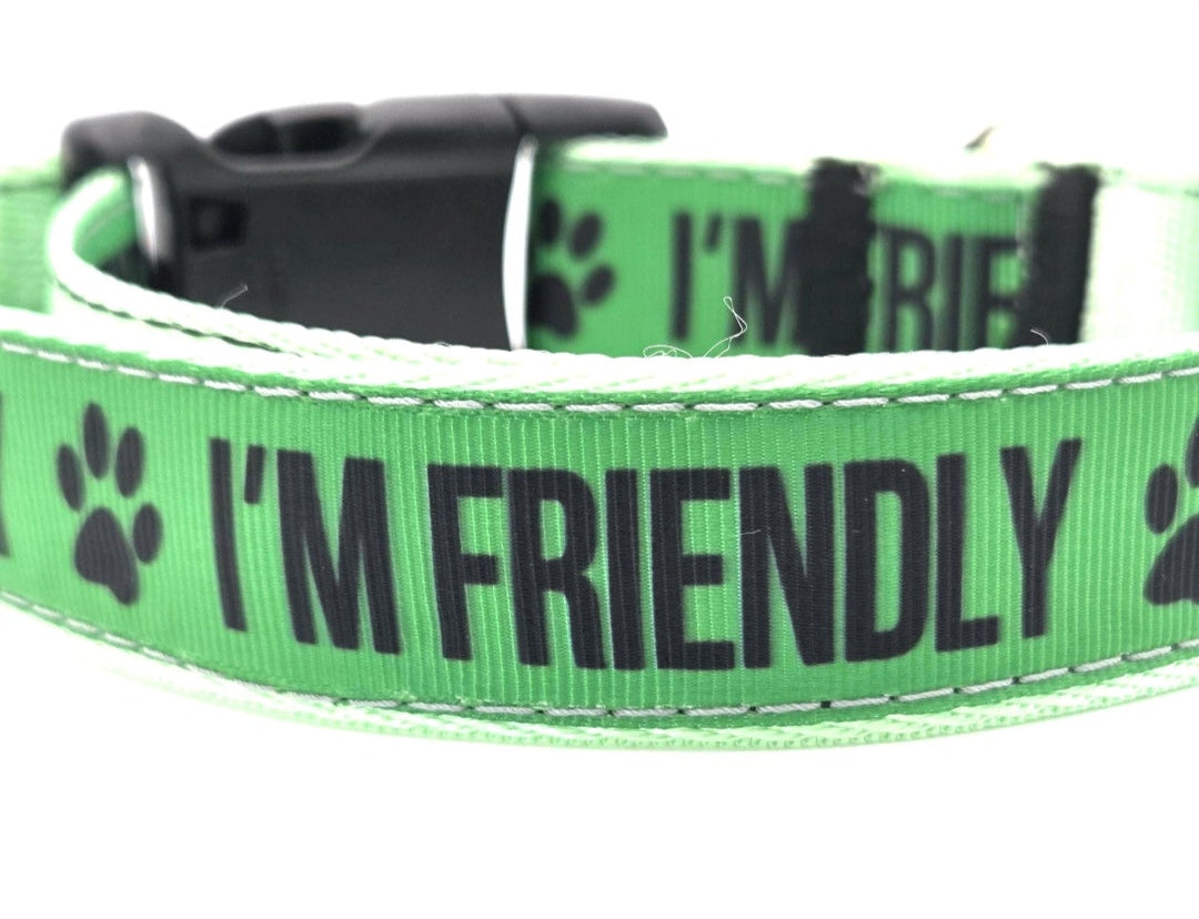 Pet & Dog Gear