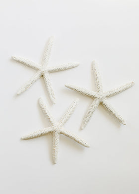 Starfish