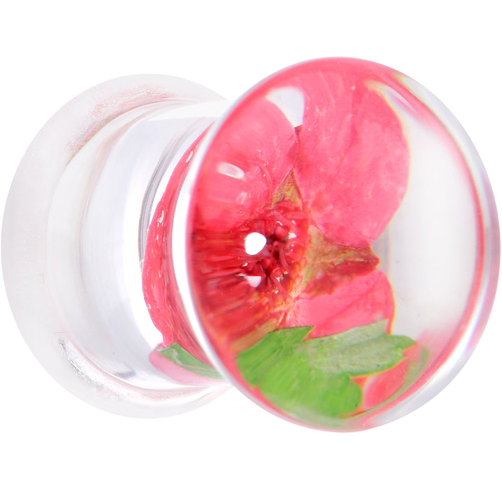 BodyCandy Clear Acrylic Color Pressed Flower Double Flare Plug Set — detail close-up