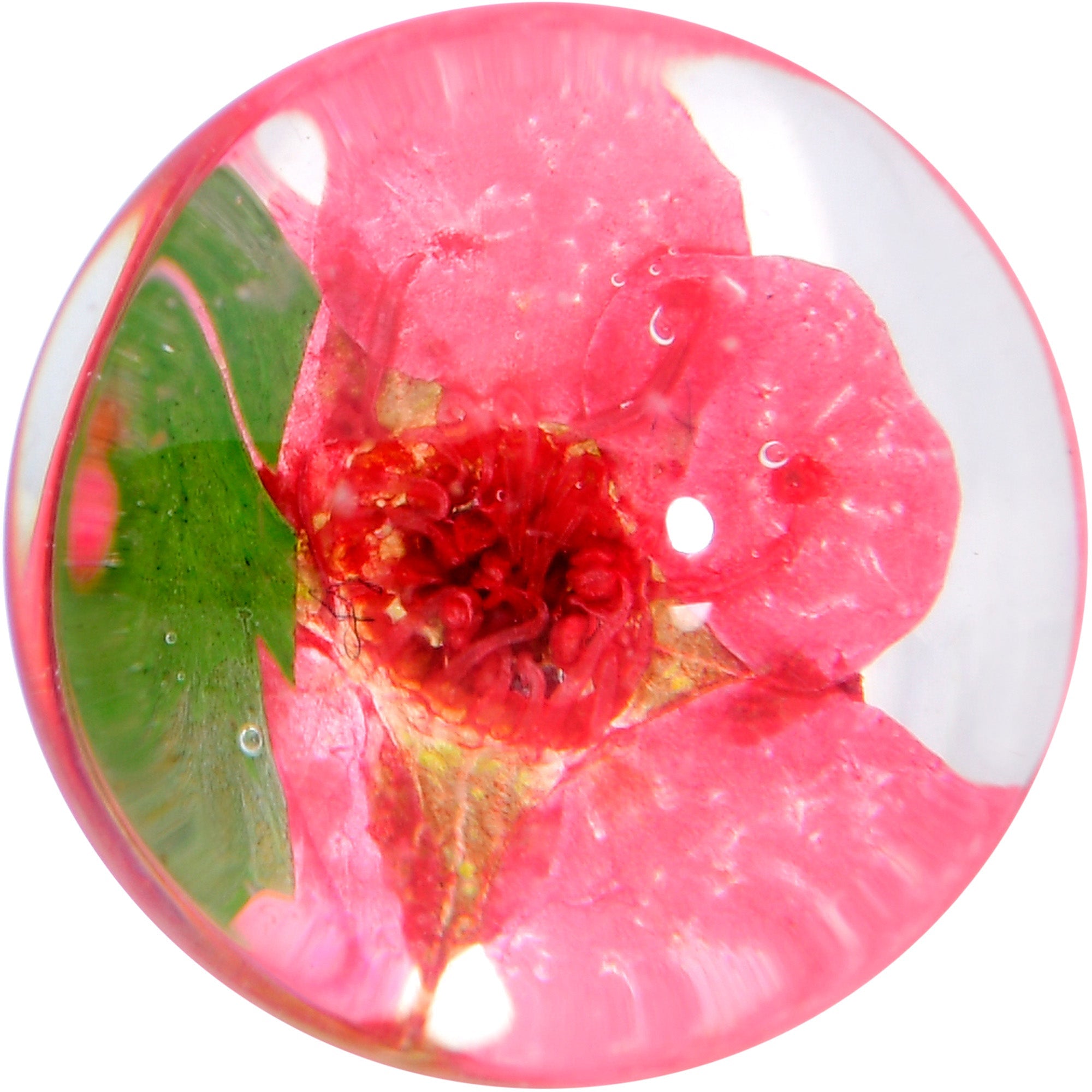 BodyCandy Clear Acrylic Color Pressed Flower Double Flare Plug Set — lifestyle context