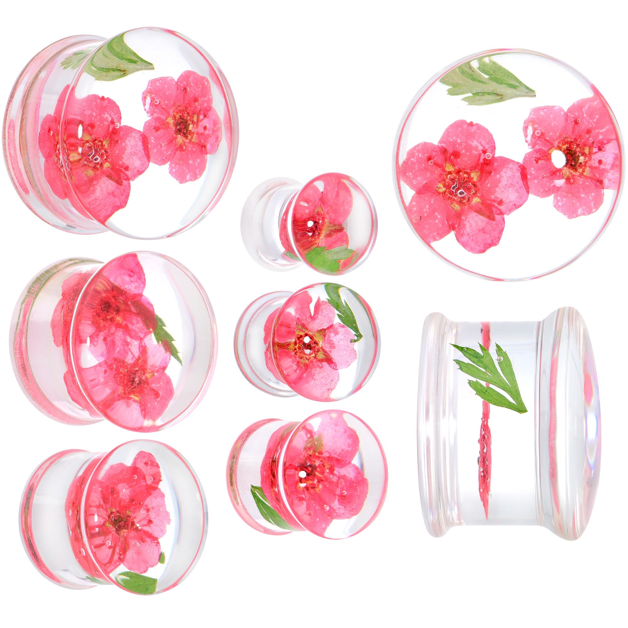 BodyCandy Clear Acrylic Color Pressed Flower Double Flare Plug Set — back view
