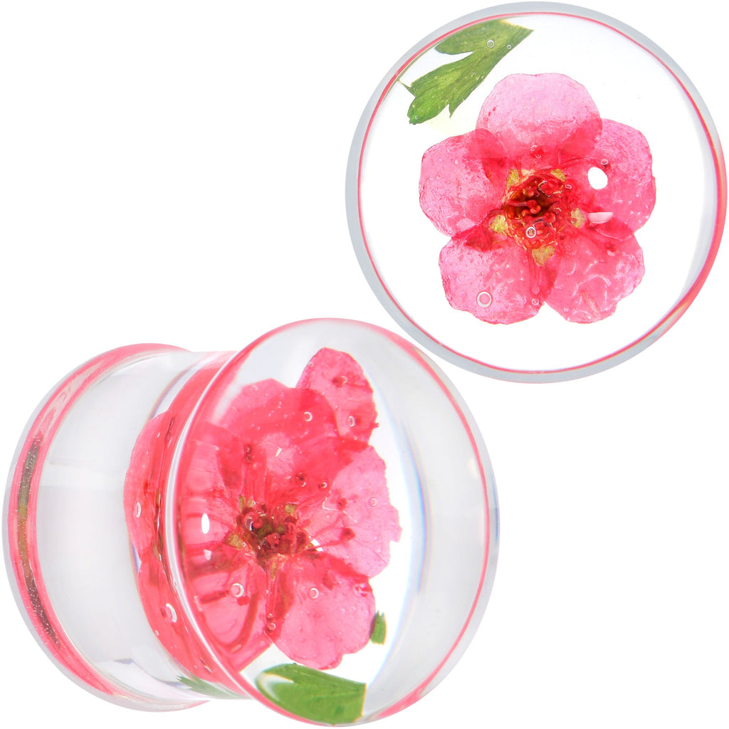 BodyCandy Clear Acrylic Color Pressed Flower Double Flare Plug Set — size reference