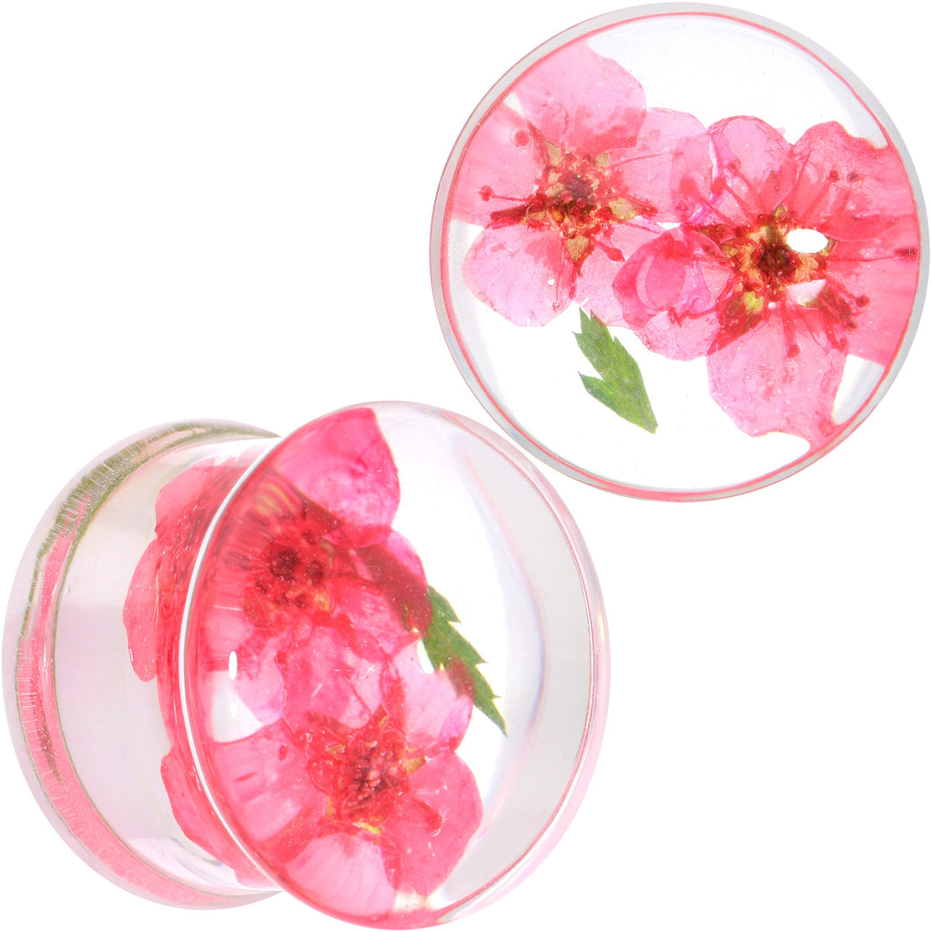 BodyCandy Clear Acrylic Color Pressed Flower Double Flare Plug Set — color detail