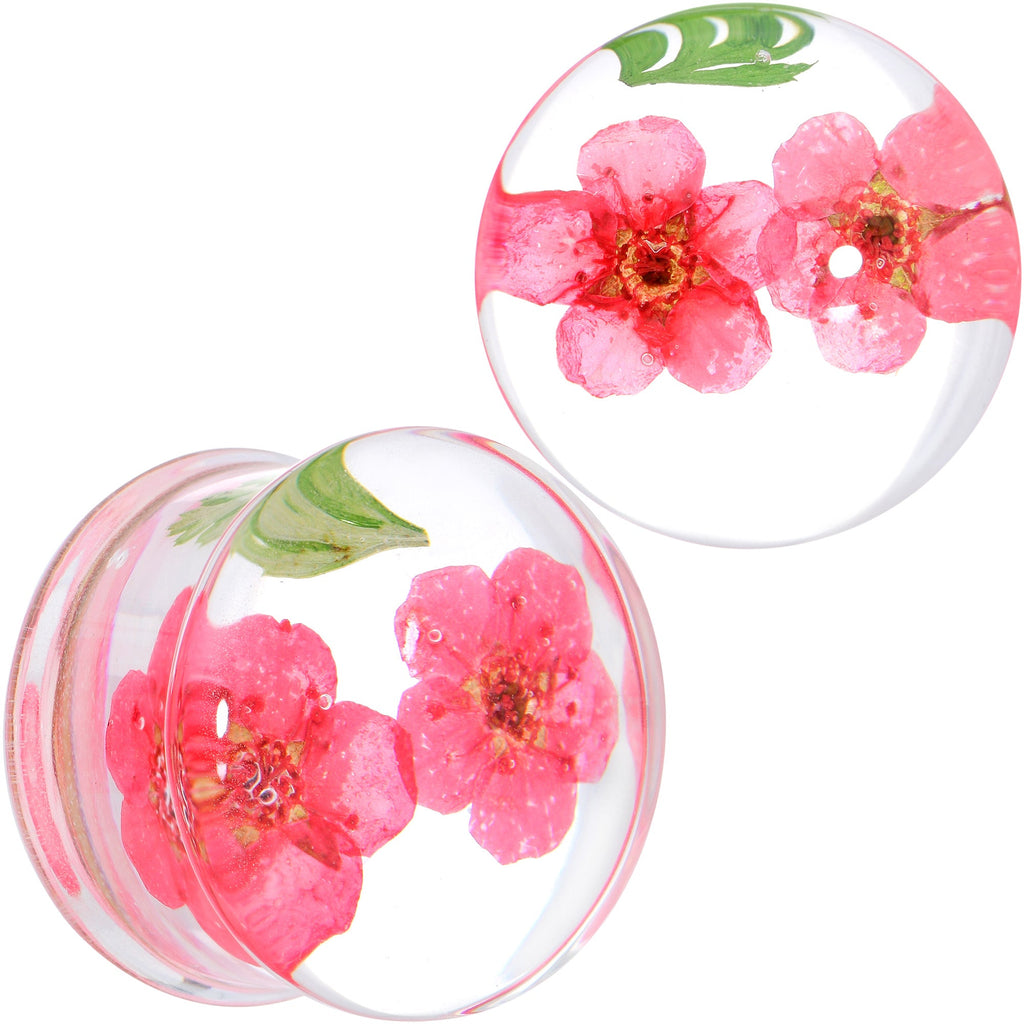 BodyCandy Clear Acrylic Color Pressed Flower Double Flare Plug Set — packaging