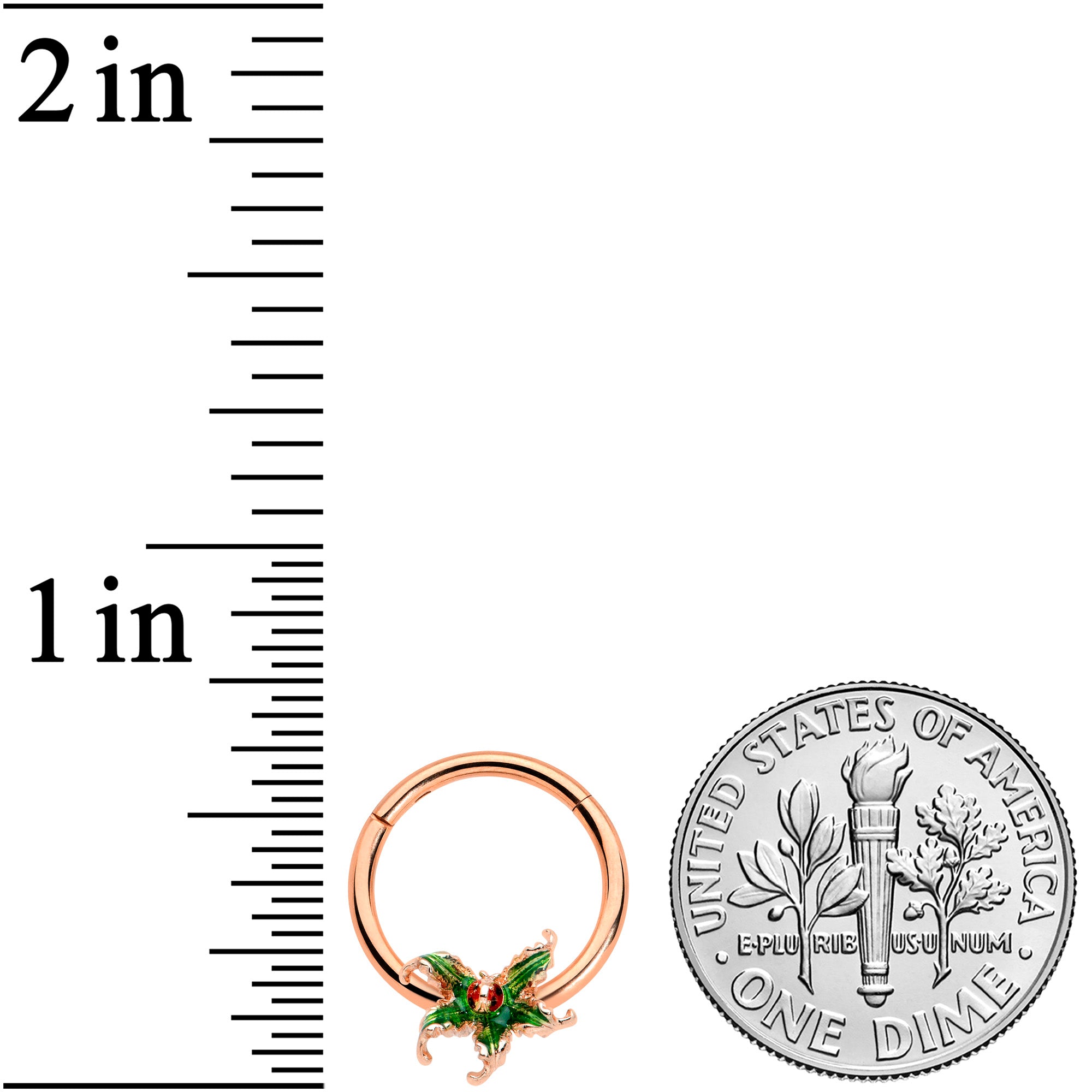 BodyCandy 16G 3/8 Rose Gold Tone Tiny Ladybug Leaves Hinged Segment Ring — lifestyle context