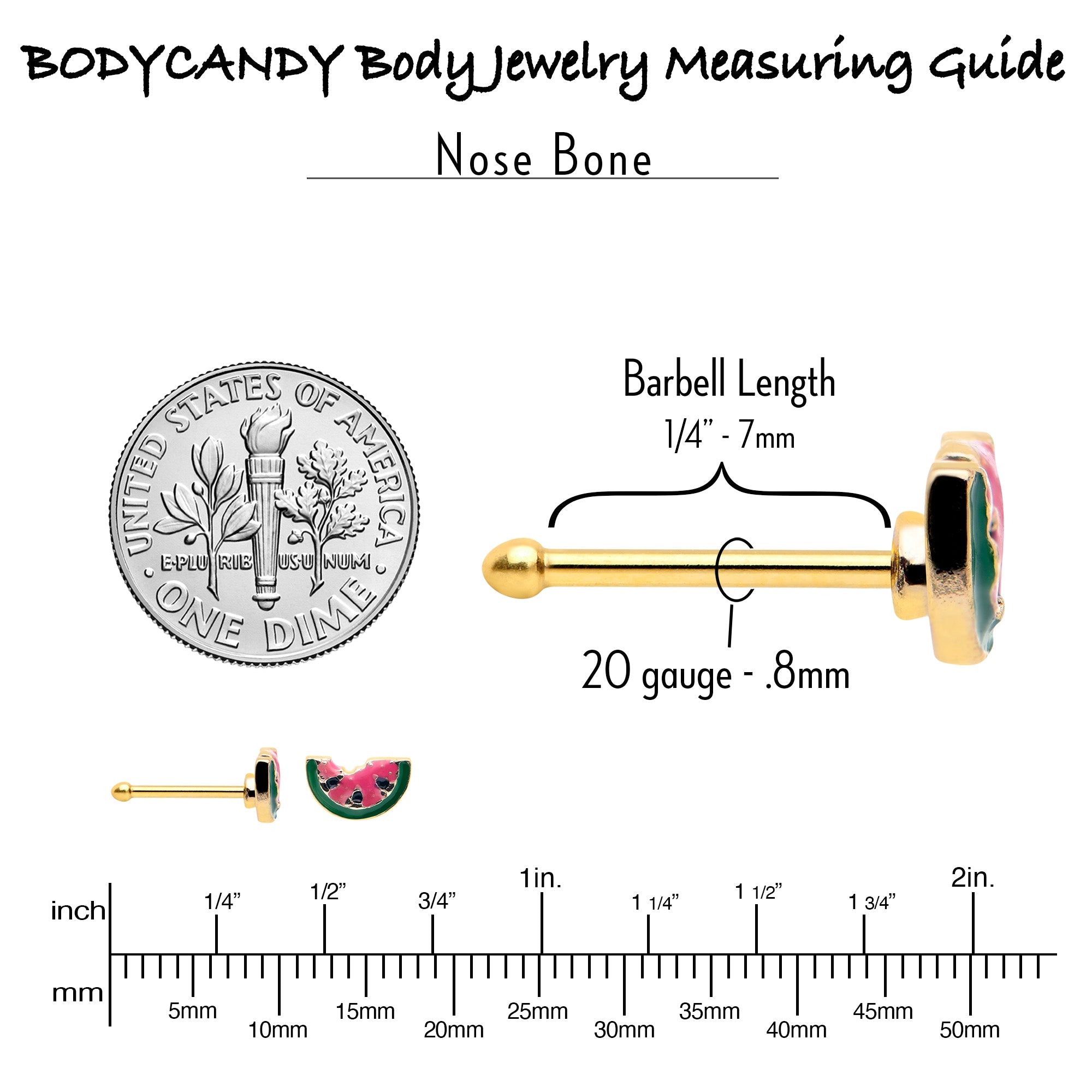 BodyCandy 20G 1/4 Gold Tone Watermelon Bite Nose Bone — back view