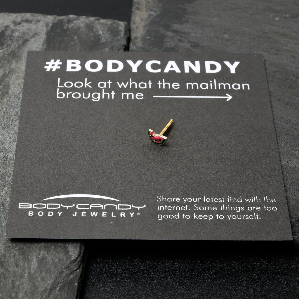 BodyCandy 20G 1/4 Gold Tone Watermelon Bite Nose Bone — size reference