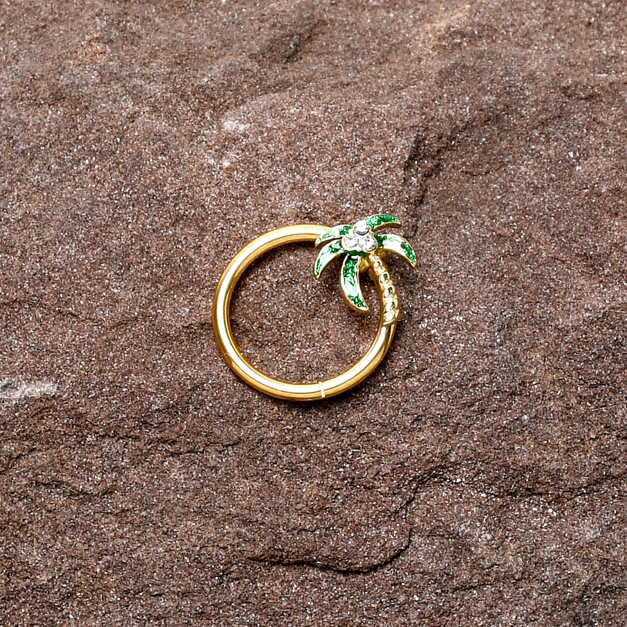 BodyCandy 16G 3/8 Clear Gem Gold Tone Palm Tree Style Hinged Segment Ring — lifestyle context