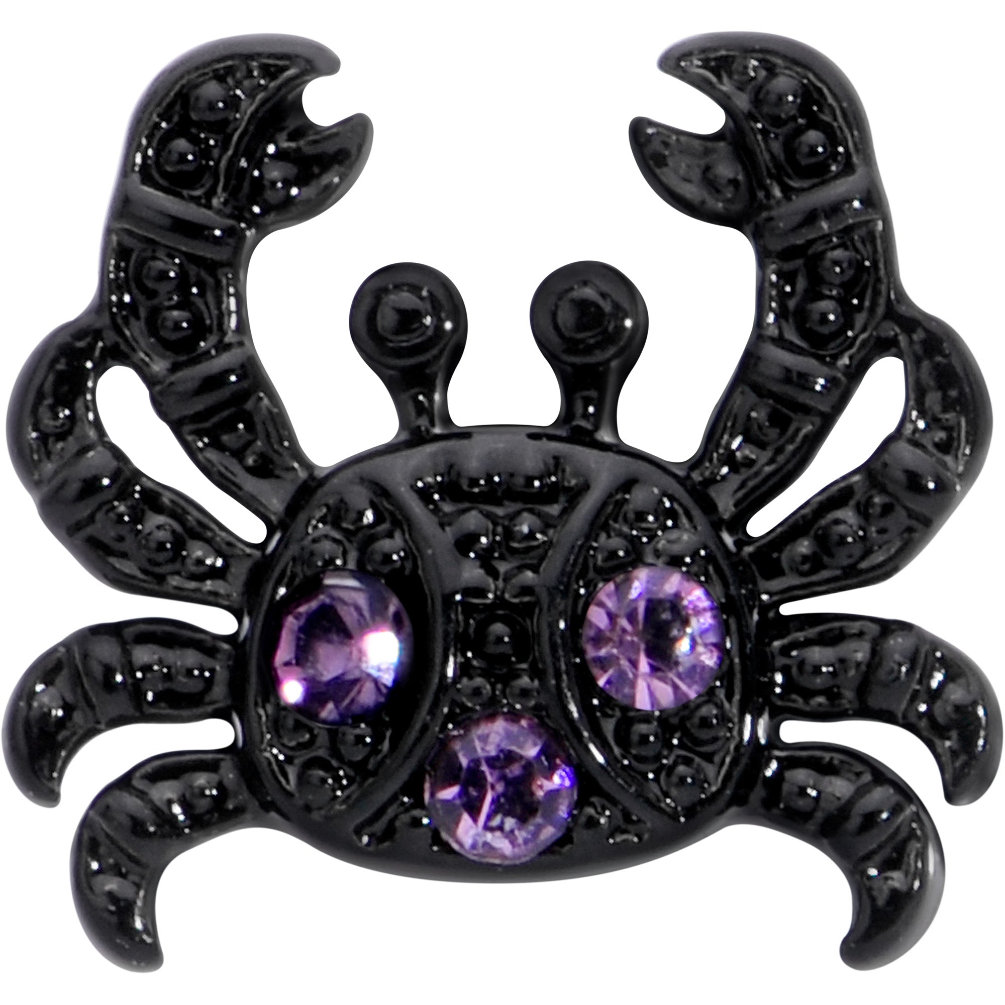 BodyCandy 16G 5/16 Purple Gem Black Chic Crab Labret Monroe Tragus — detail close-up