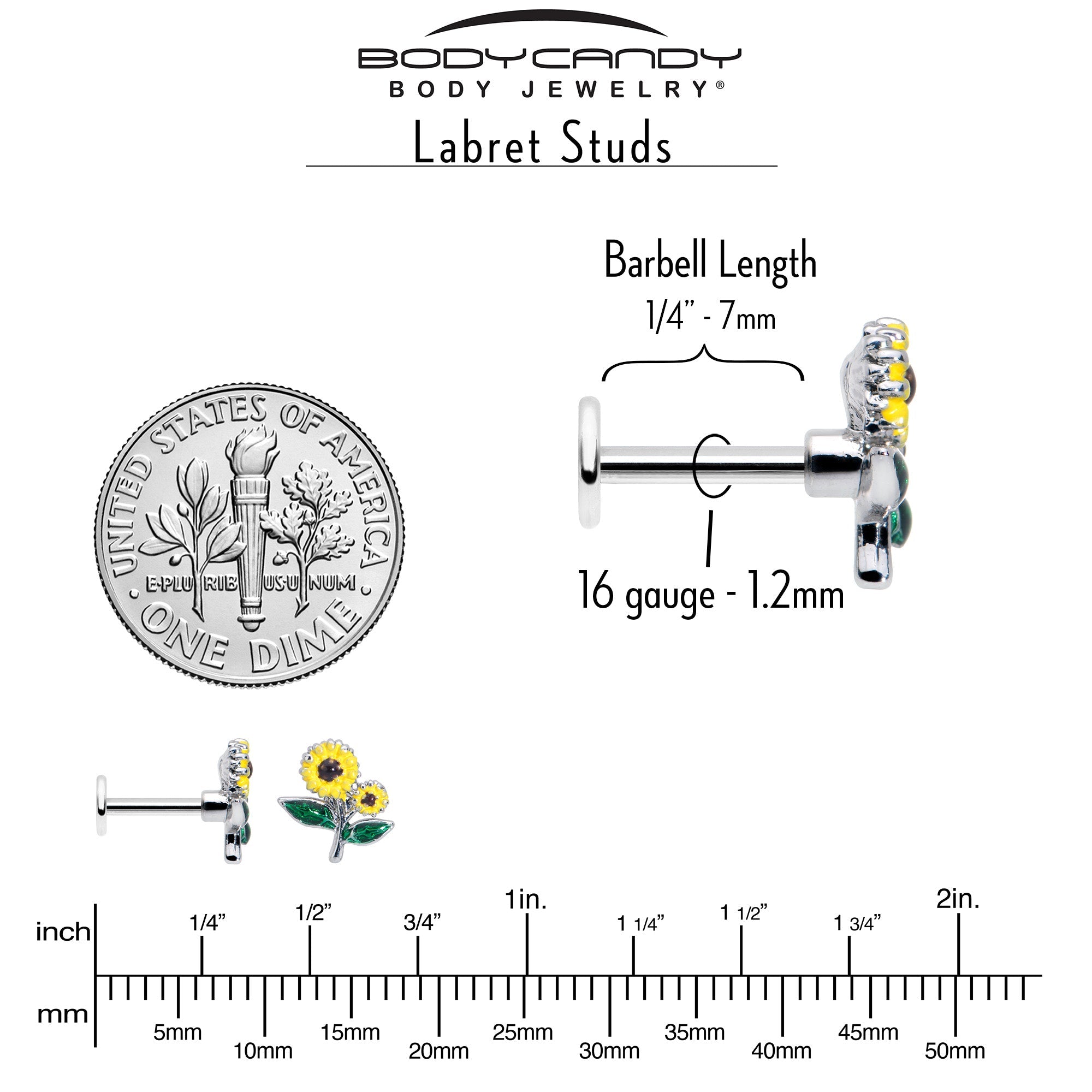 BodyCandy 16G 1/4 Cheery Inlay Sunflowers Labret — back view