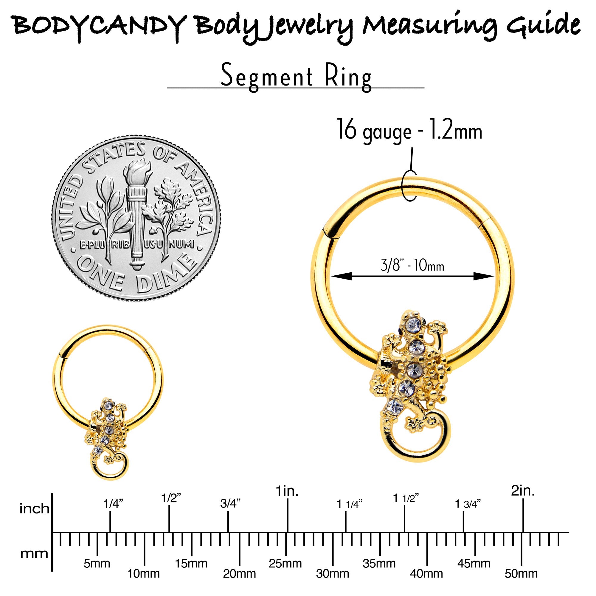 BodyCandy 16G 3/8 Clear Gem Gold Tone Luscious Lizard Hinged Segment Ring — side view