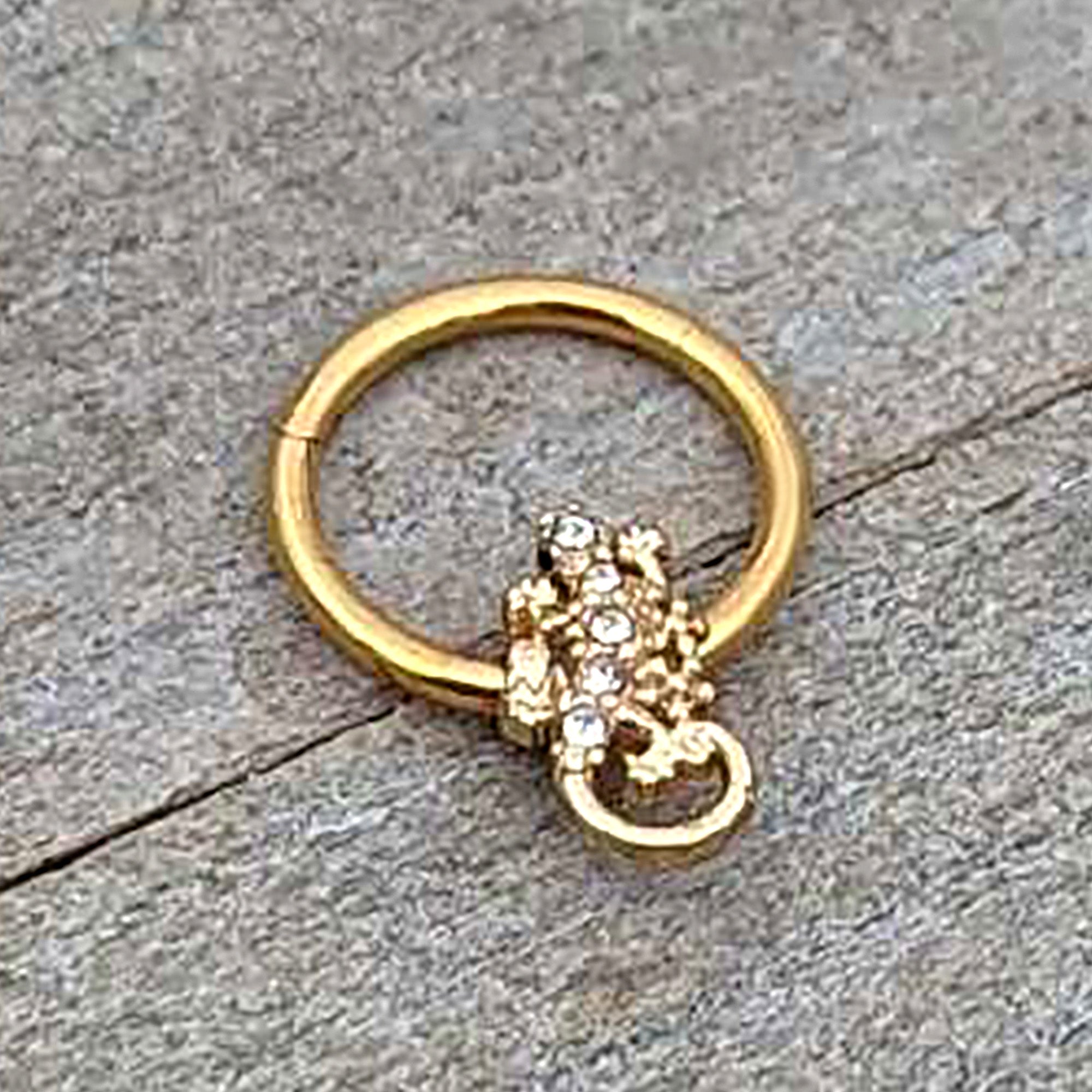 BodyCandy 16G 3/8 Clear Gem Gold Tone Luscious Lizard Hinged Segment Ring — back view