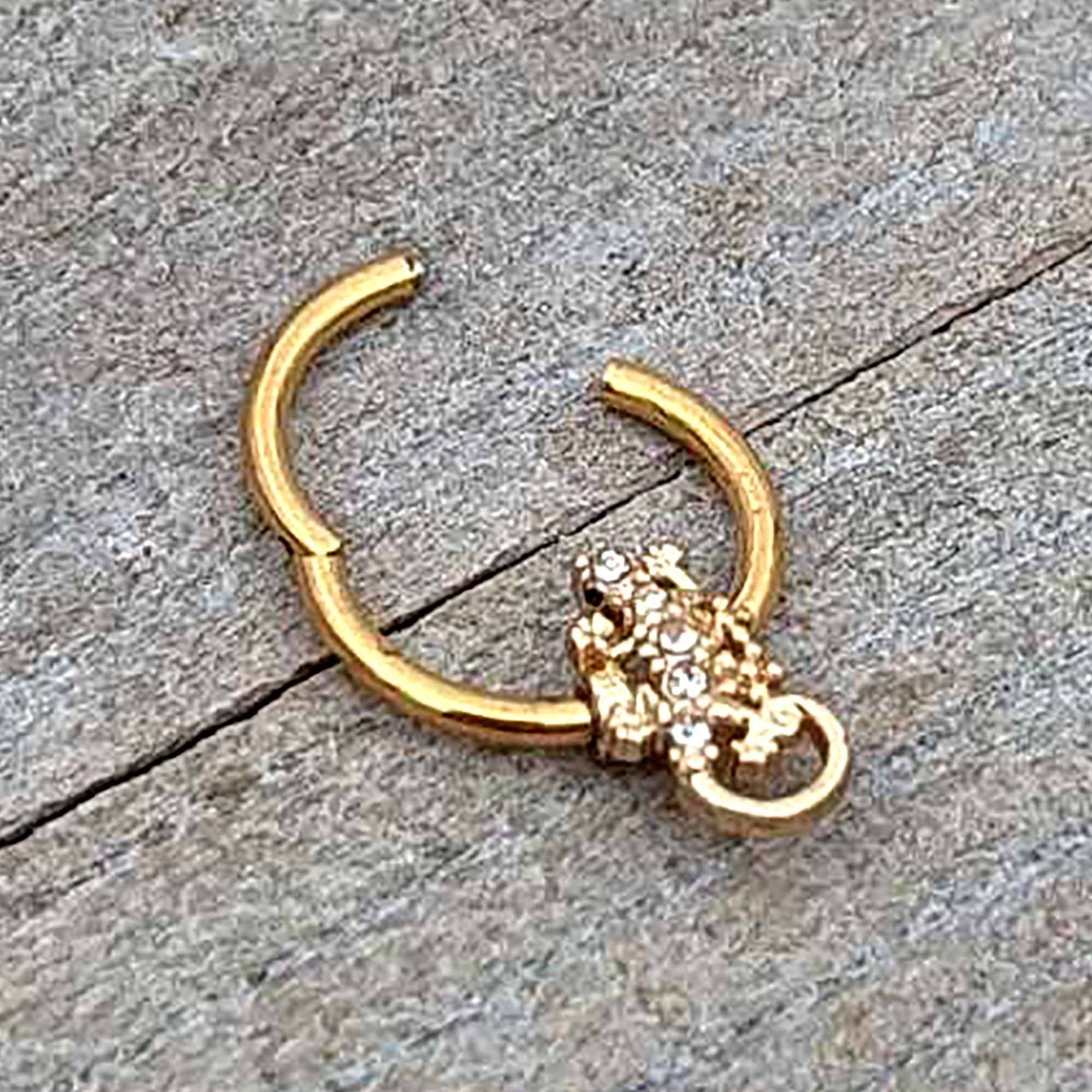 BodyCandy 16G 3/8 Clear Gem Gold Tone Luscious Lizard Hinged Segment Ring — alternative angle