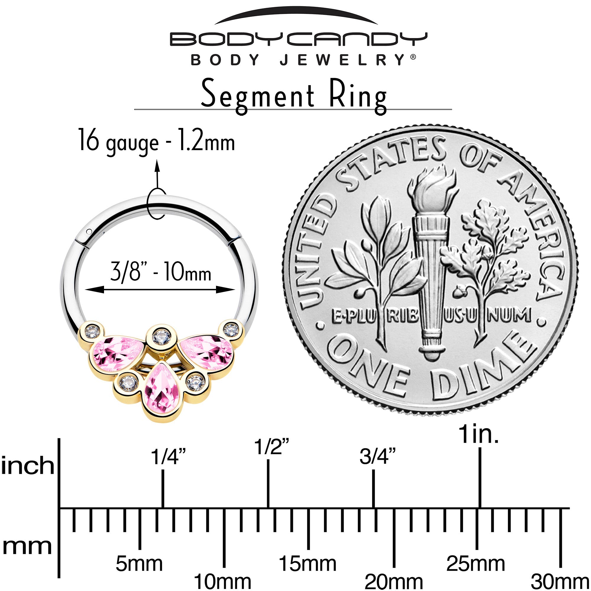 BodyCandy 16G 3/8 Pink Gem Golden Crown Deluxe Hinged Segment Ring — side view