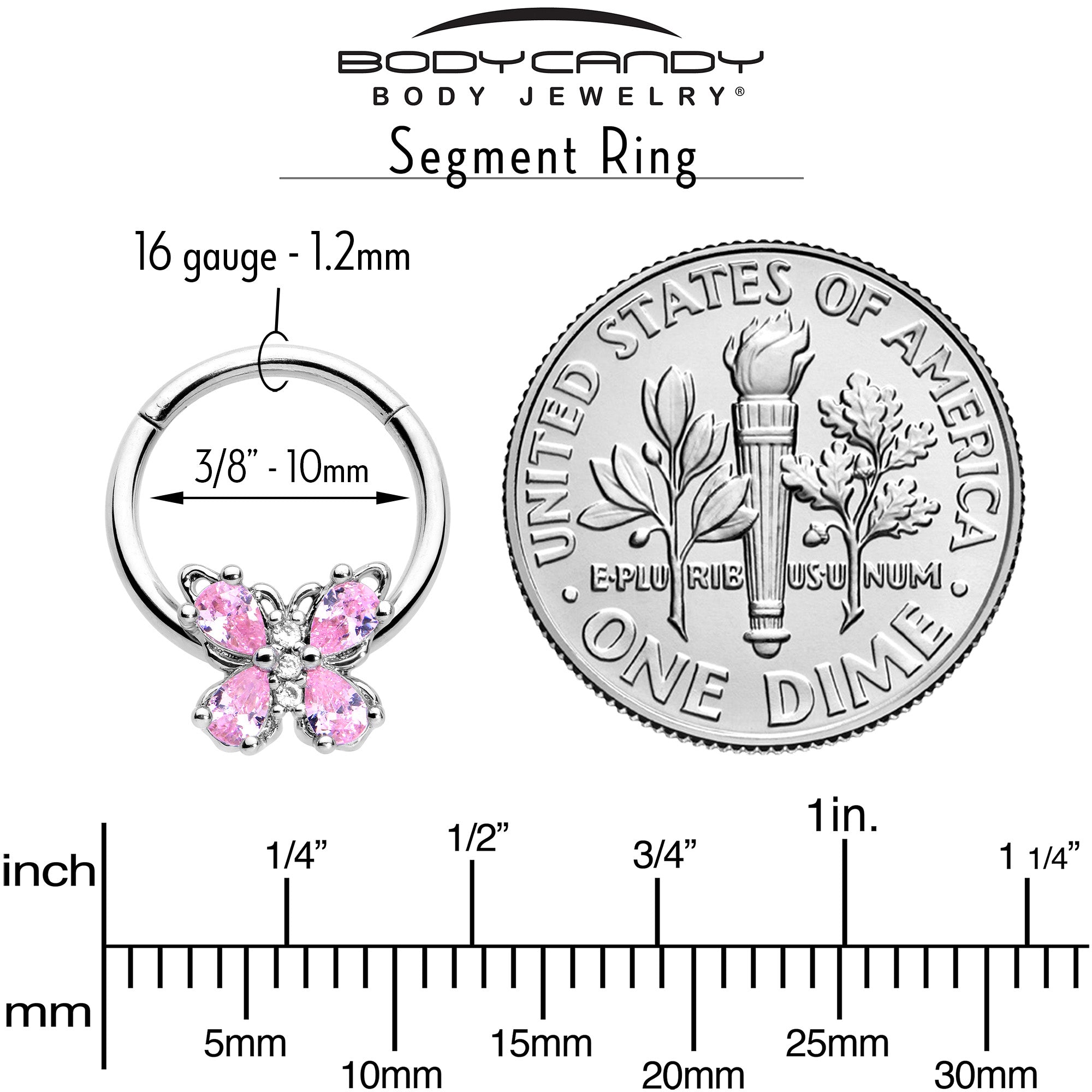 BodyCandy 16G 3/8 Pink Gem Baroque Beauty Butterfly Hinged Segment Ring — back view