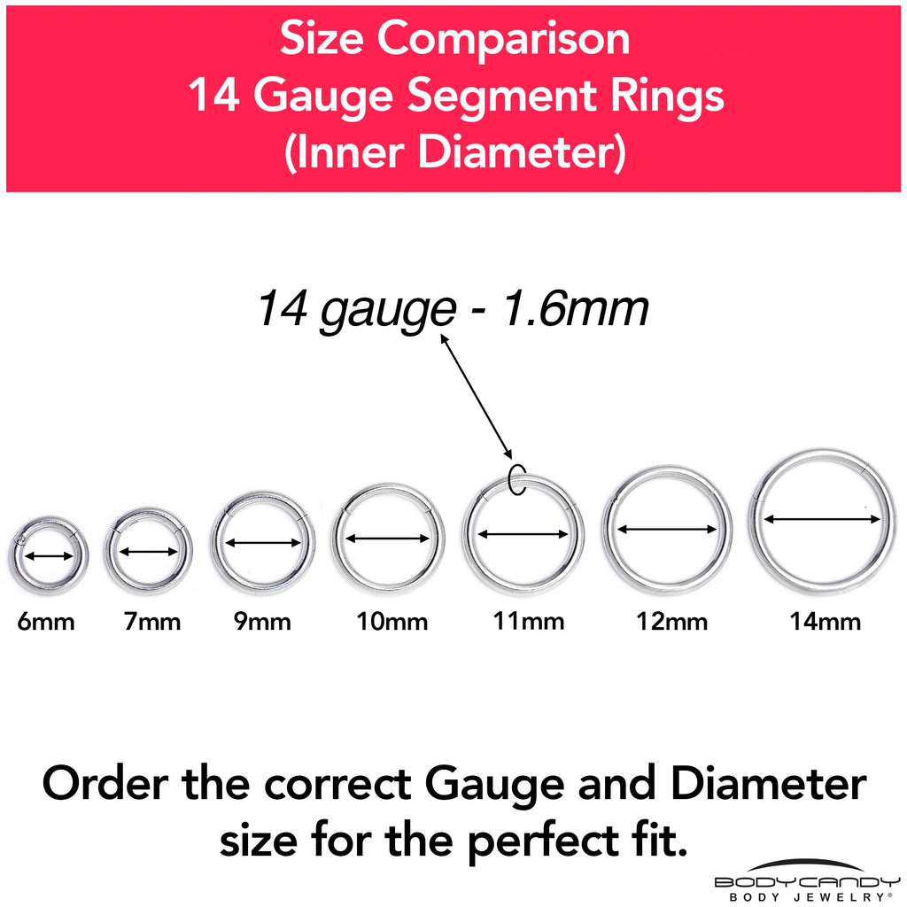 BodyCandy 14G 1/4 316L Surgical Steel Precision Hinged Segment Hoop — color detail