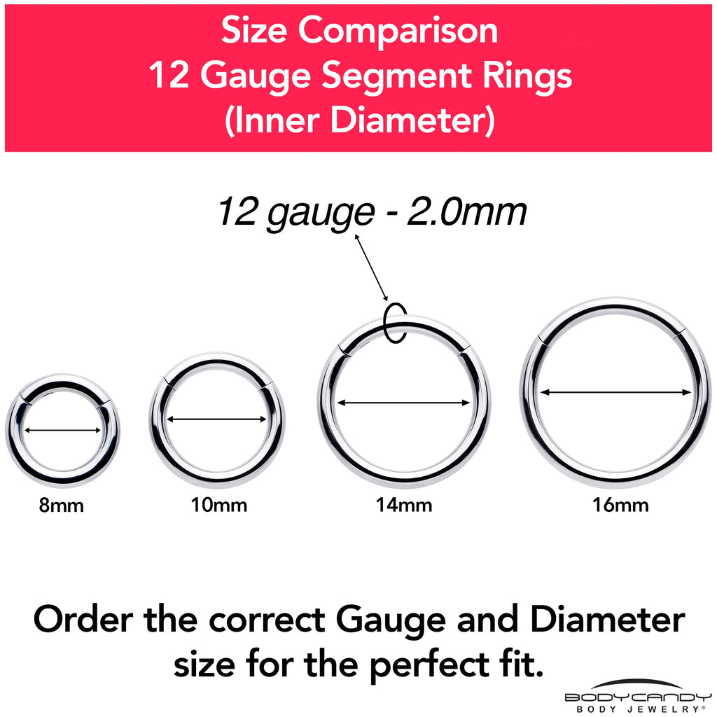 BodyCandy 12G 5/16 316L Surgical Steel Precision Hinged Segment Hoop — color detail