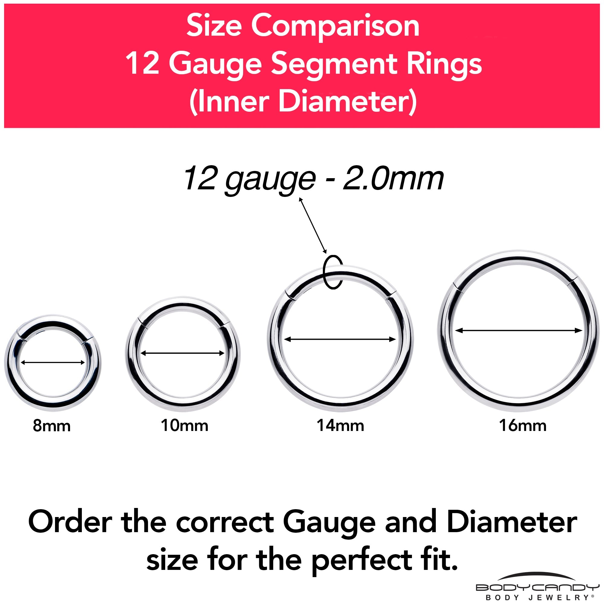 BodyCandy 12G 5/8 316L Surgical Steel Precision Hinged Segment Hoop — color detail