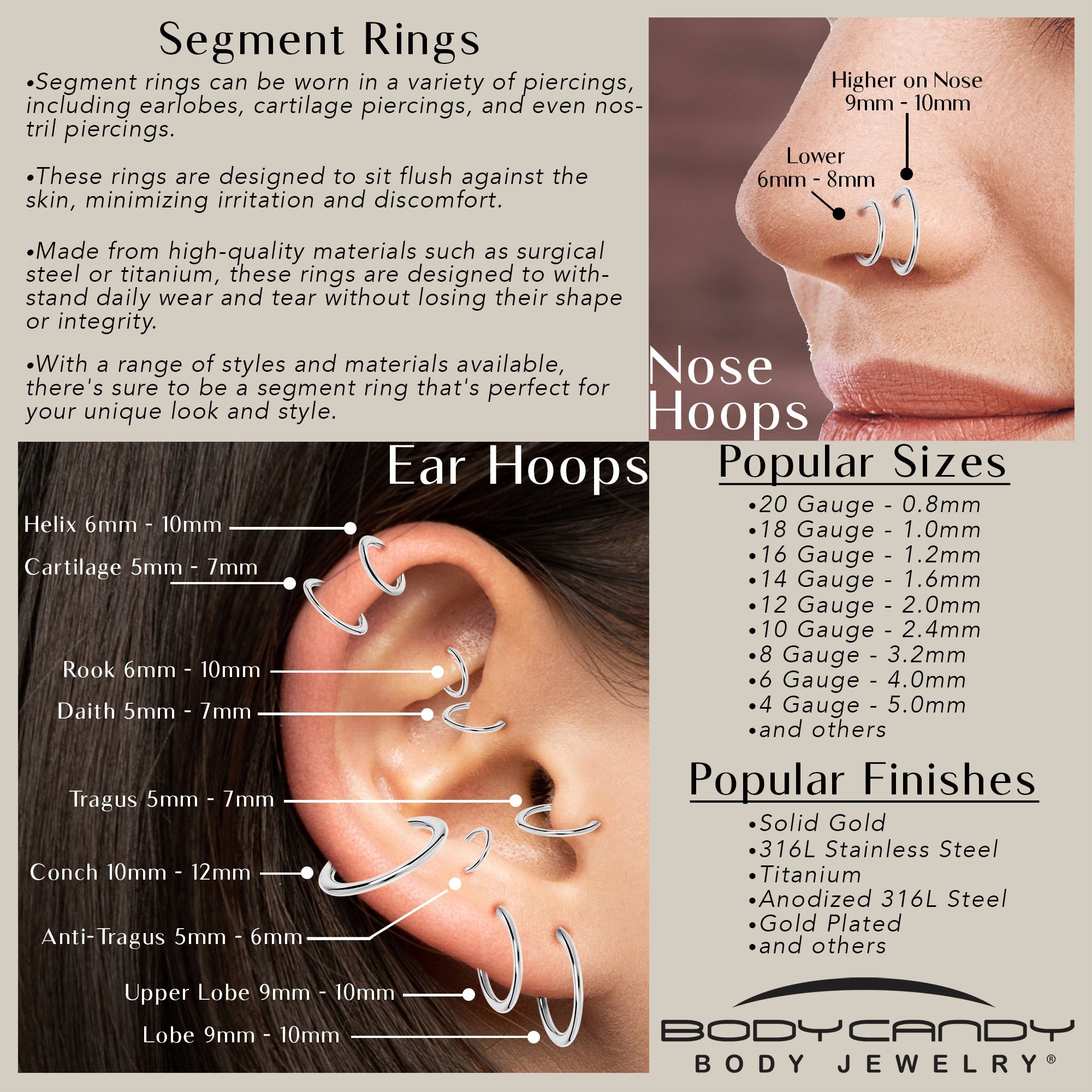 BodyCandy 6G 5/8 316L Surgical Steel Precision Hinged Segment Hoop — back view