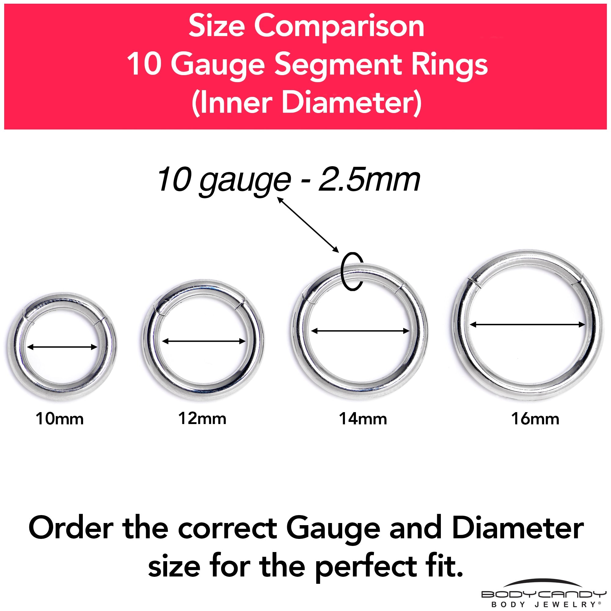 BodyCandy 10G 5/8 316L Surgical Steel Precision Hinged Segment Hoop — color detail