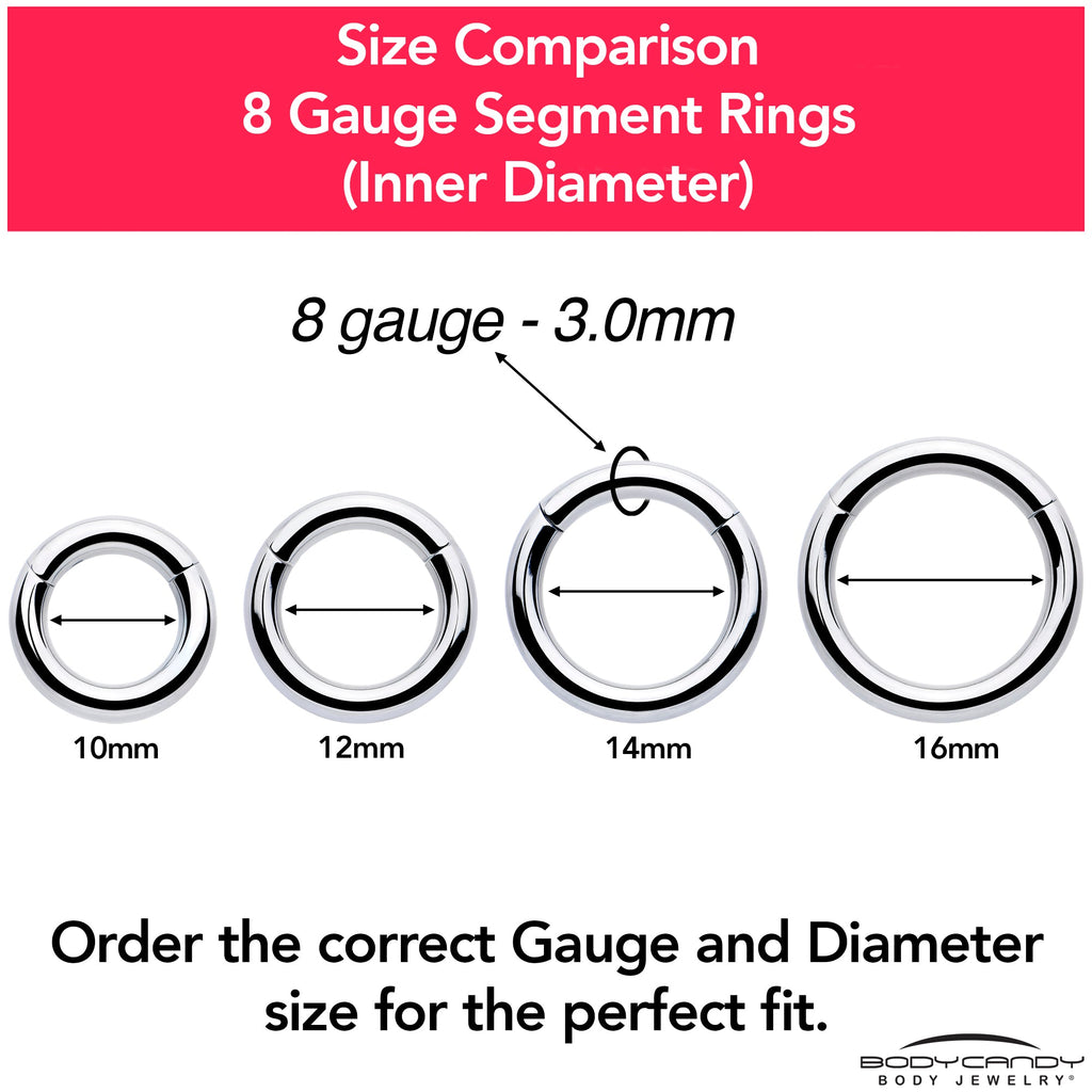BodyCandy 8G 3/8 316L Surgical Steel Precision Hinged Segment Hoop — color detail