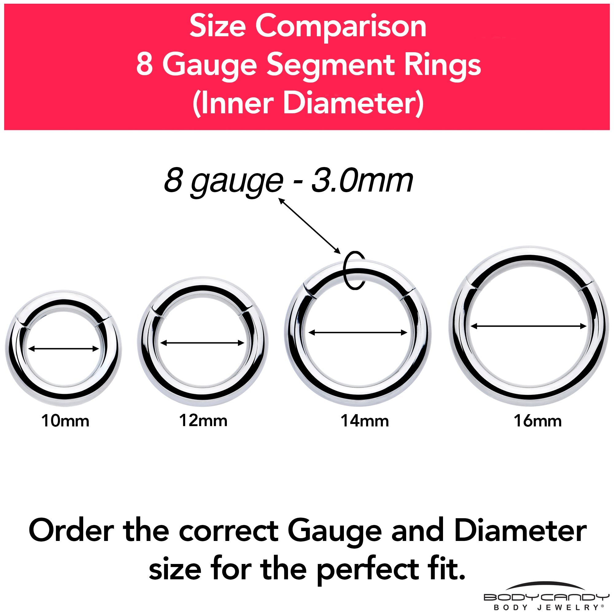 BodyCandy 8G 5/8 316L Surgical Steel Precision Hinged Segment Hoop — color detail