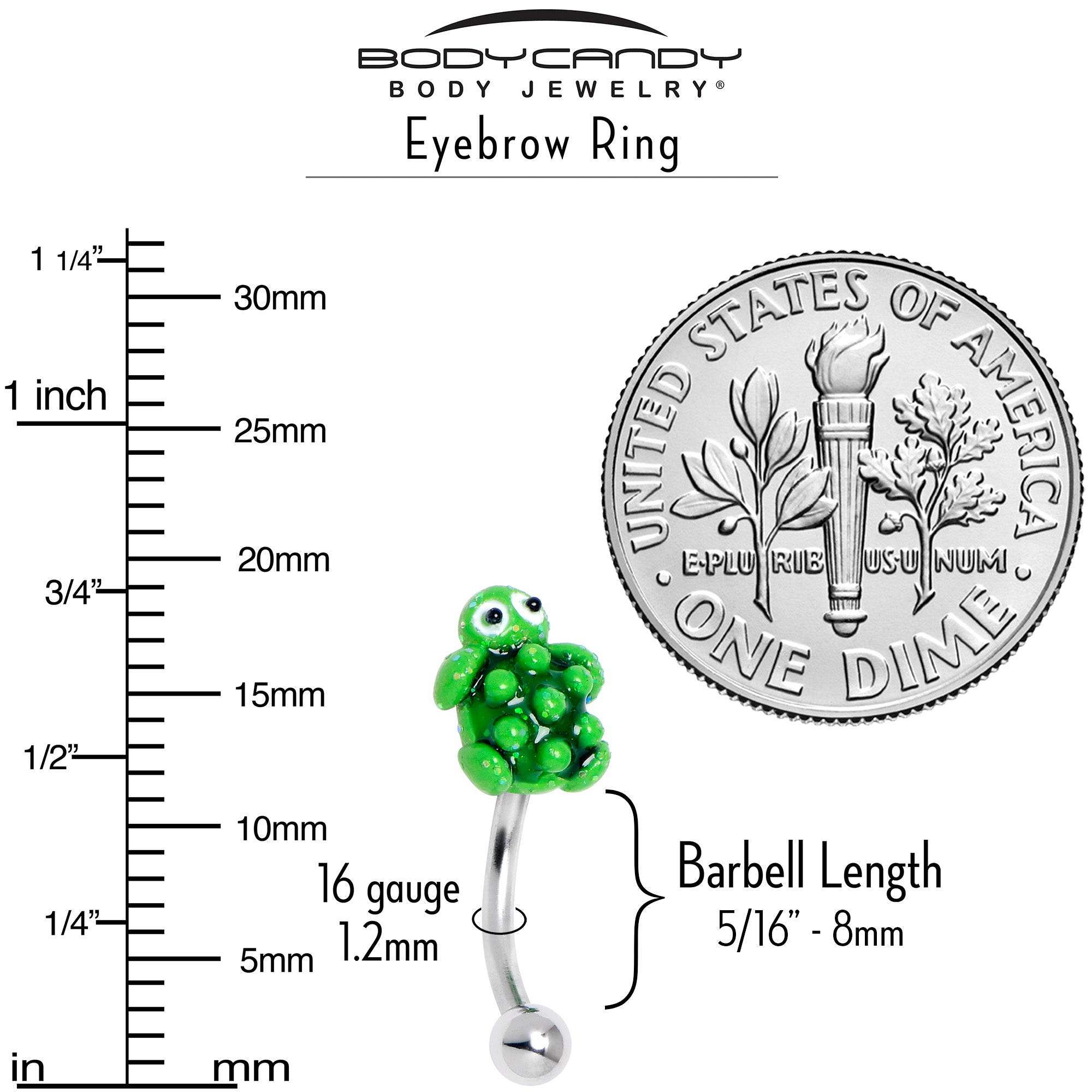 BodyCandy 16G 5/16 Texture Turtle Curved Eyebrow Ring — alternative angle