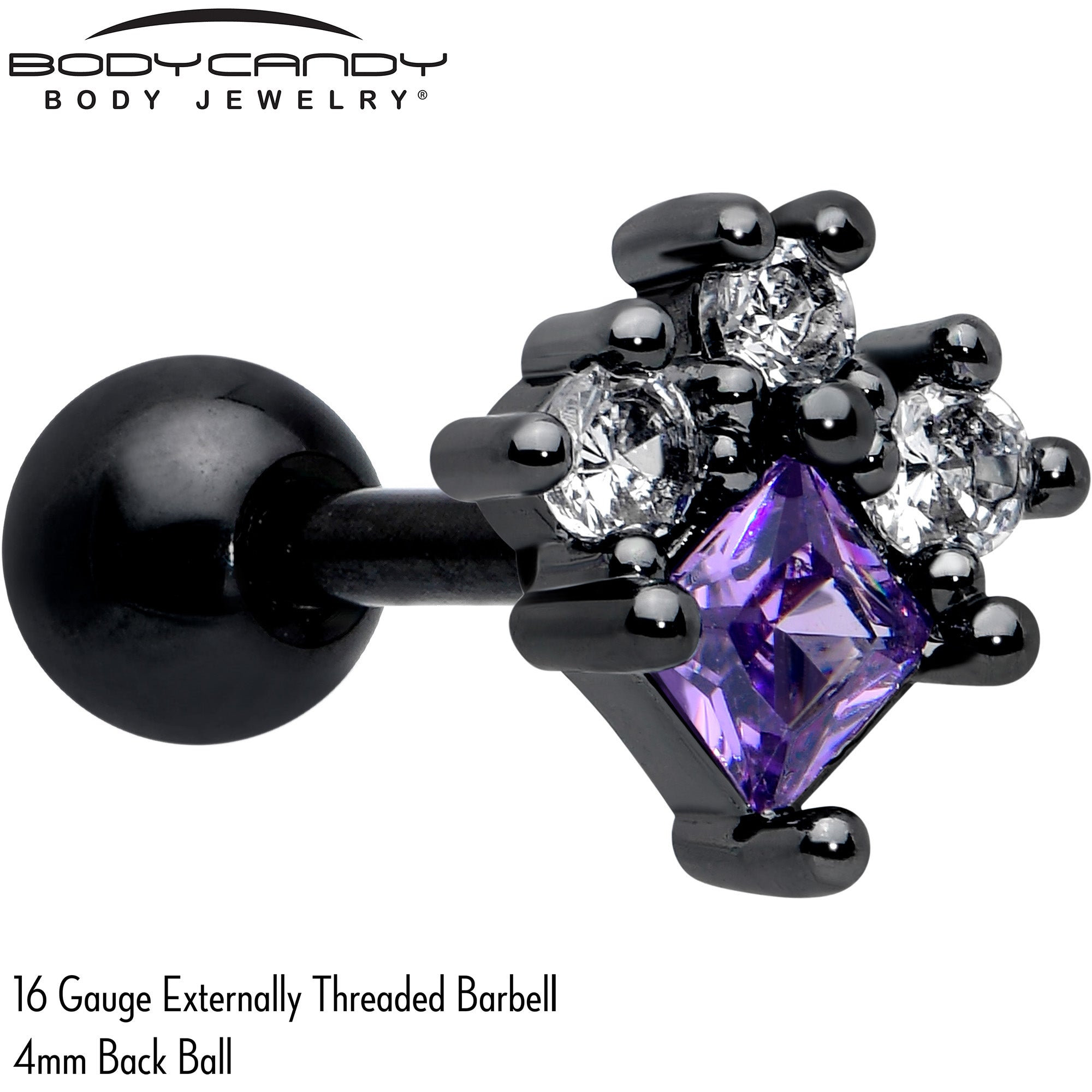 BodyCandy 16G 1/4 Purple CZ Gem Black Rhombus Riot Cartilage Tragus Earring — detail close-up
