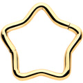 BodyCandy 16G 5/16 Gold Tone Star Shaped Hinged Segment Ring — main product shot