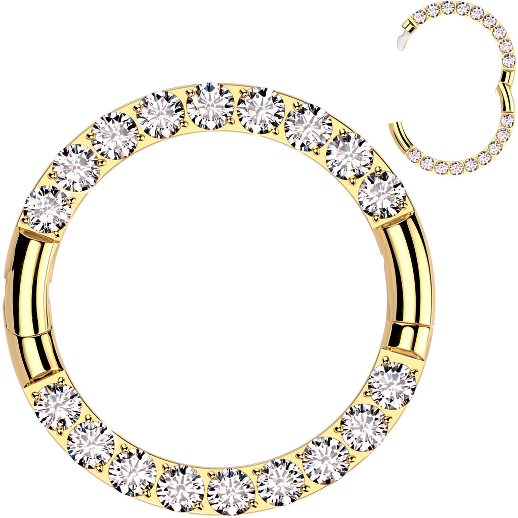 BodyCandy 16G Implant Grade Titanium CZ Double Row Hoop Segment Ring — in-use photo