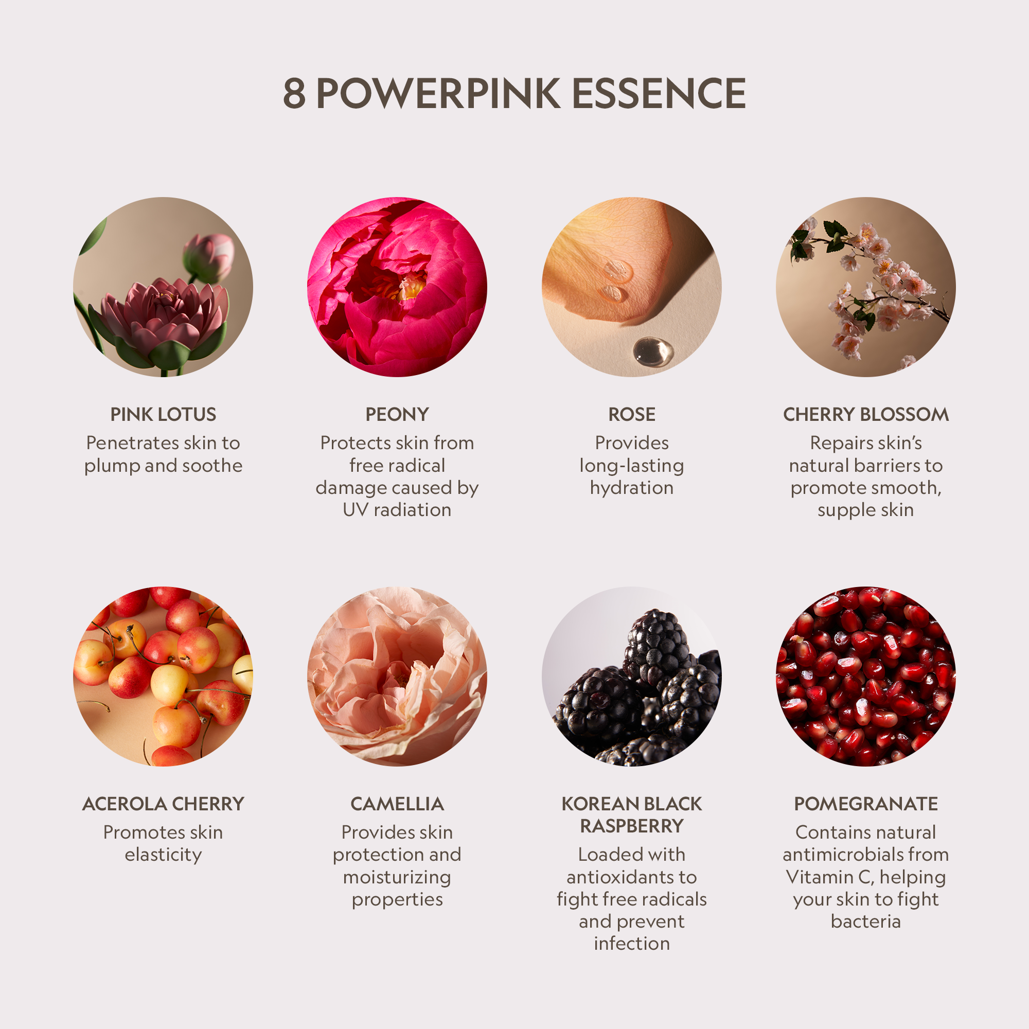 YENSA Pink Lotus Peptide Renewal Face Cream — whipped cream texture swatch