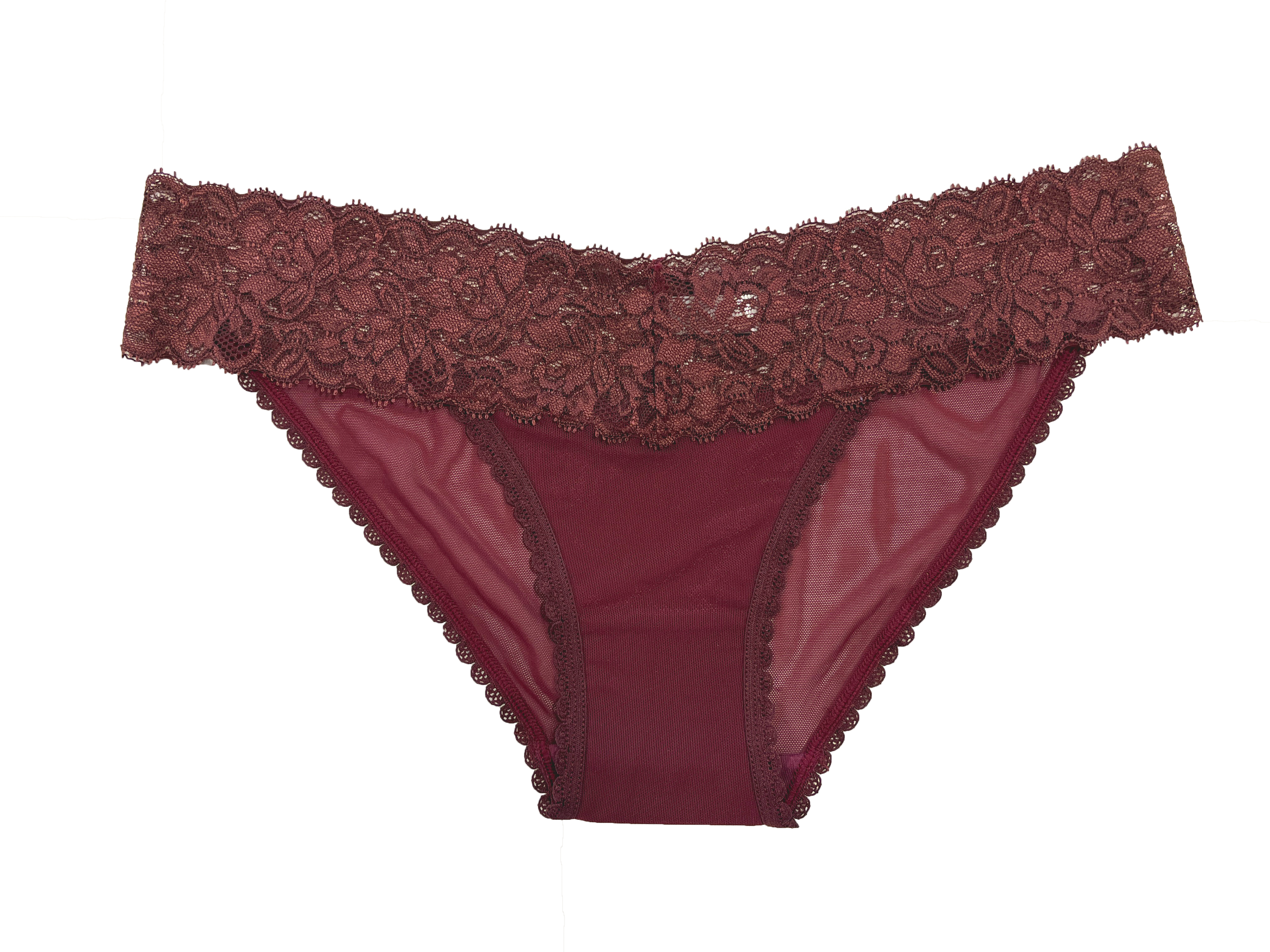 Mesh and Lace Classic Cheeky, XS-2X