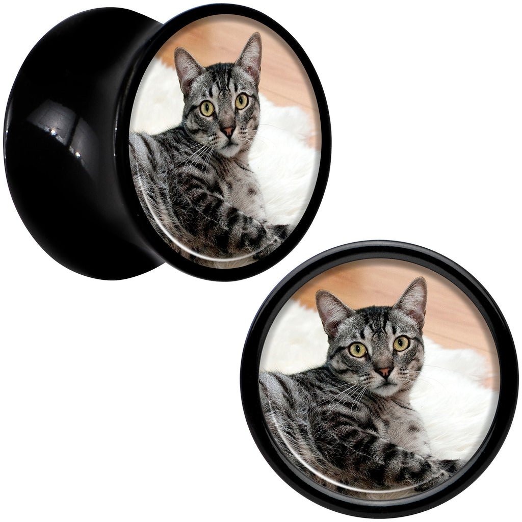 BodyCandy Black Acrylic Custom Photo Saddle Plug - buy 2 for a pair — alternative angle