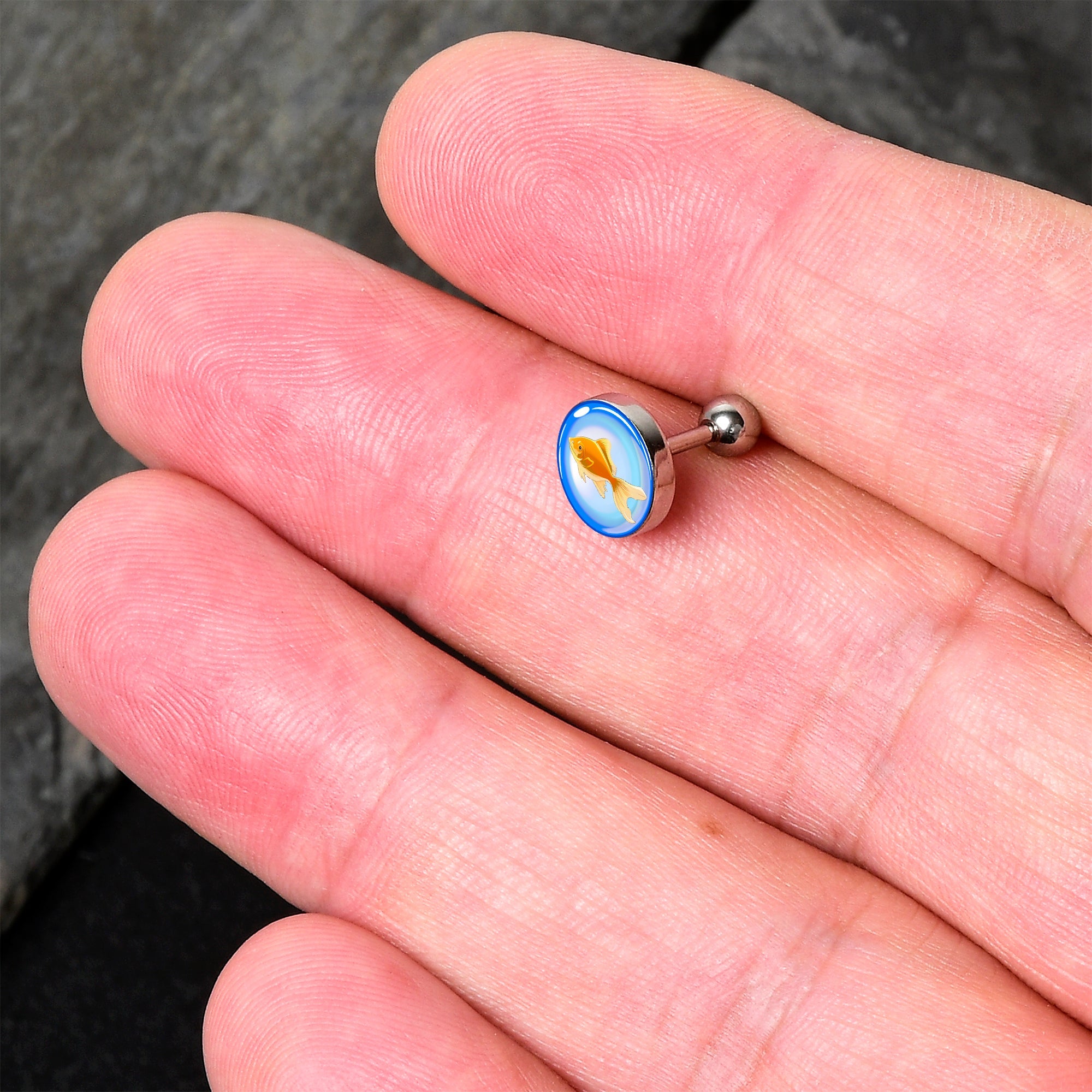 BodyCandy 16G 1/4 Gold Fish Cartilage Tragus Earring by Onyx O — detail close-up