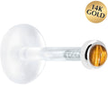 BodyCandy 16G 5/16 Solid 14K White Gold 2mm Genuine Tiger Eye Bioplast Tragus Earring Stud — main product shot