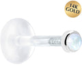 BodyCandy 16G 1/4 Solid 14K White Gold 2mm Genuine Rainbow Moonstone Bioplast Tragus Earring Stud — main product shot