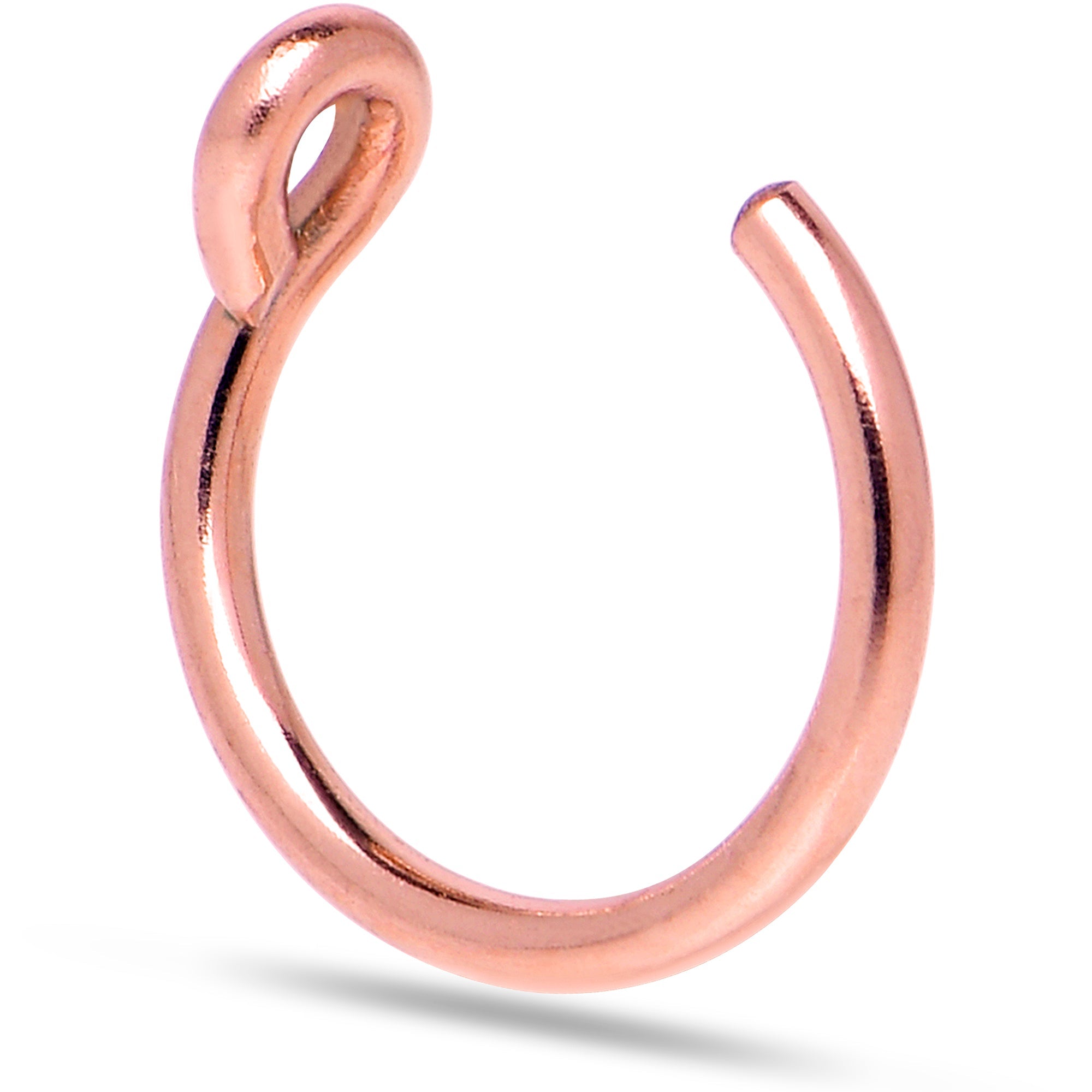 BodyCandy 3 Pack 14k Gold Filled and 925 Silver Fake Nose Rings — lifestyle context