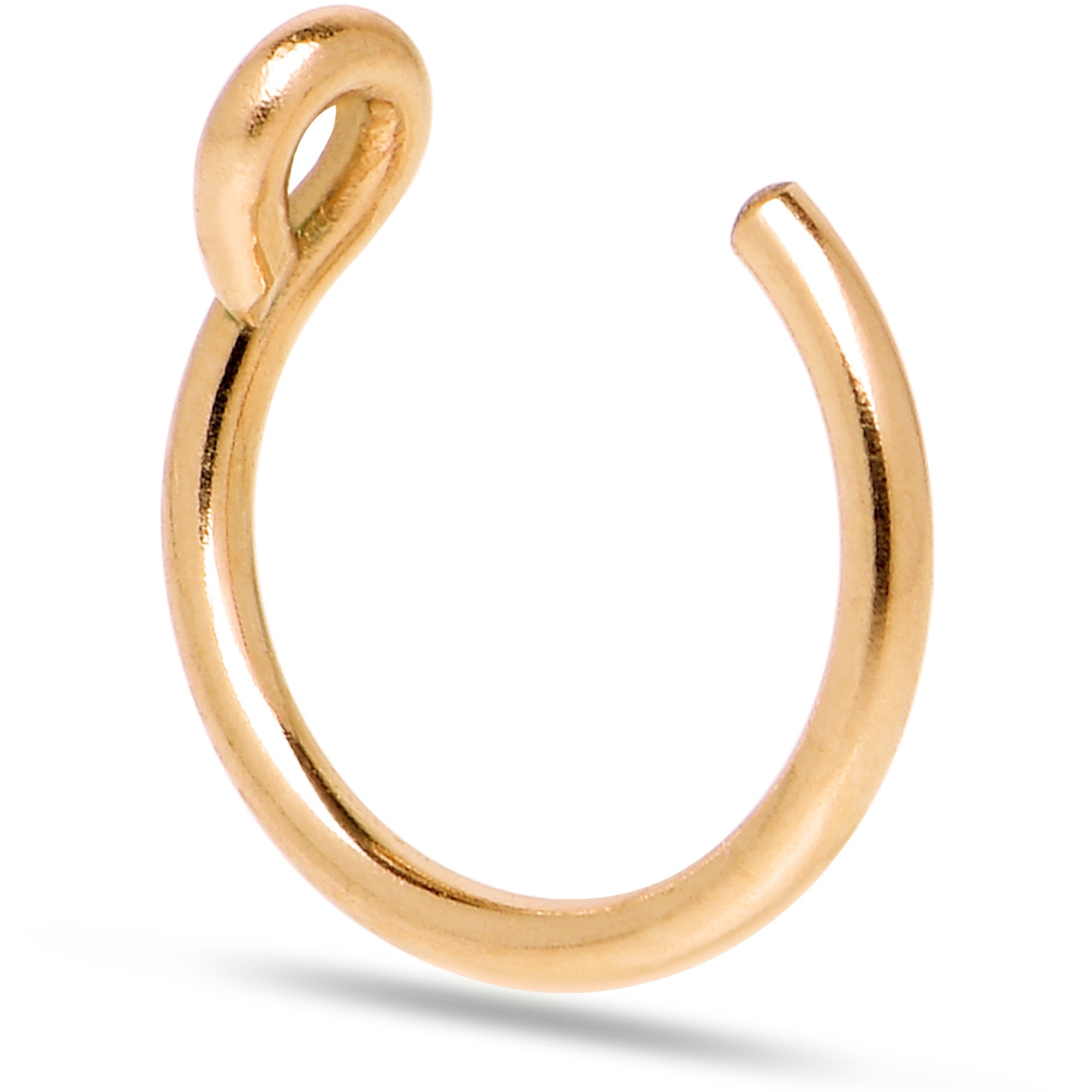 BodyCandy 3 Pack 14k Gold Filled and 925 Silver Fake Nose Rings — detail close-up