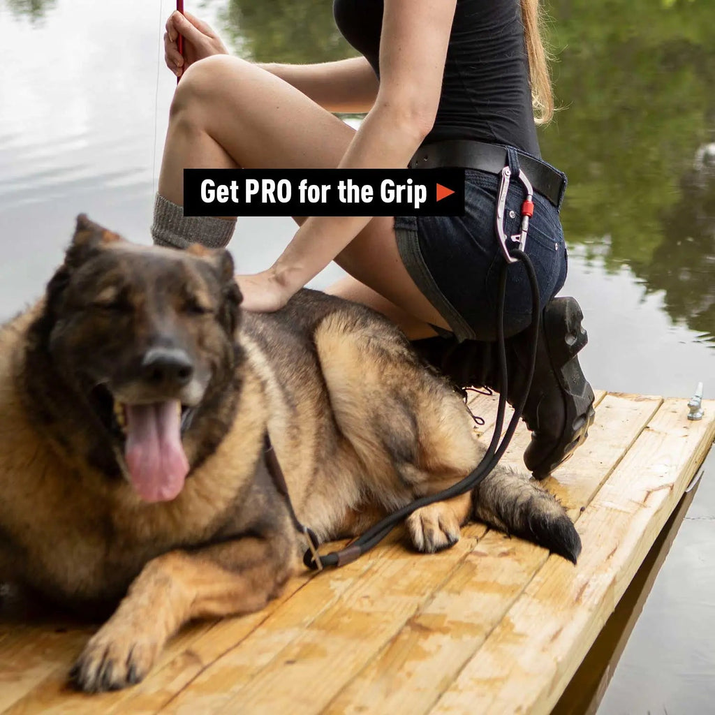 GPCA GPCA Dog Leash LITE Bundle — alternative angle