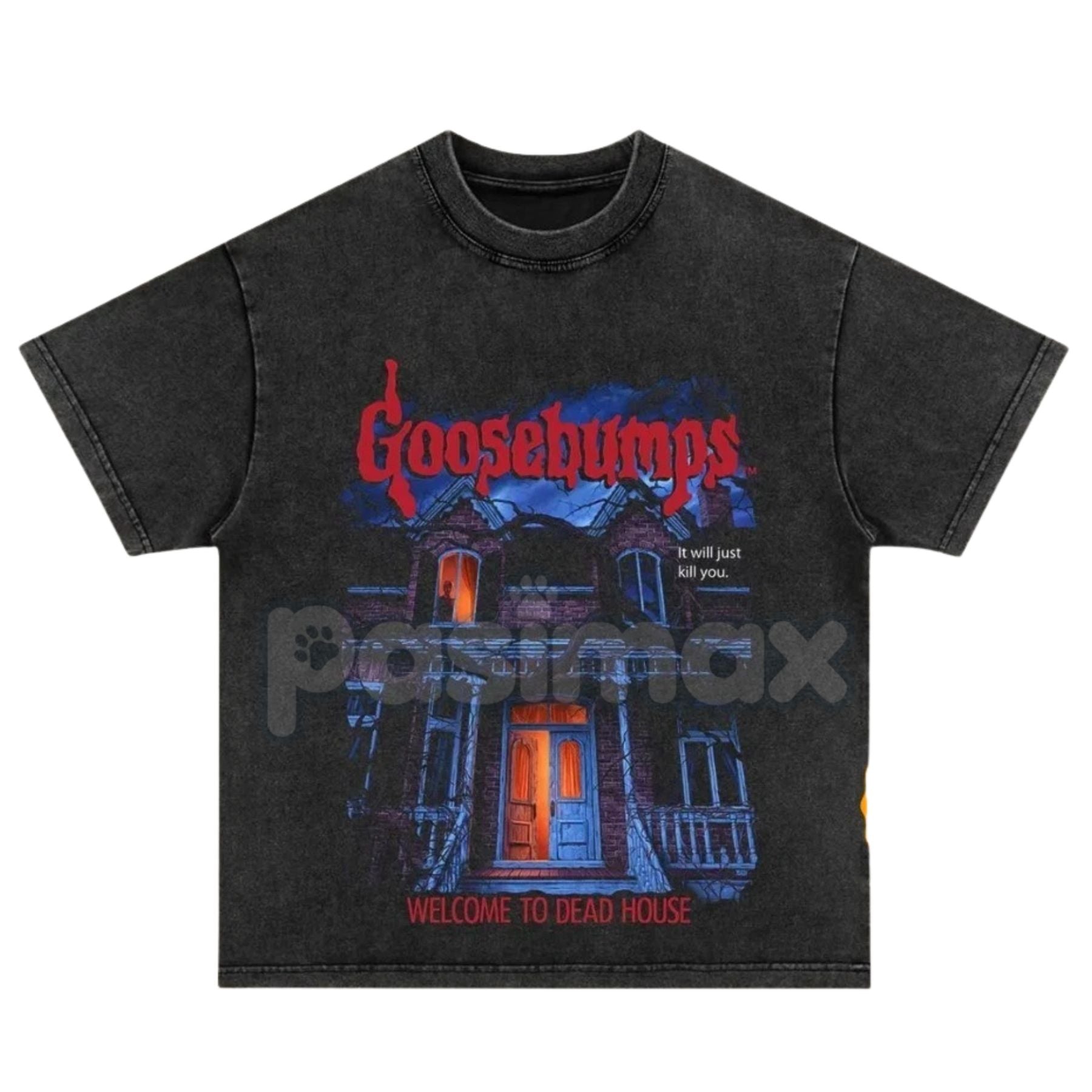 Pasimax Goosebumps Vintage Shirt – Retro 90s Horror Series Graphic Tee, Washed Cotton — main product shot