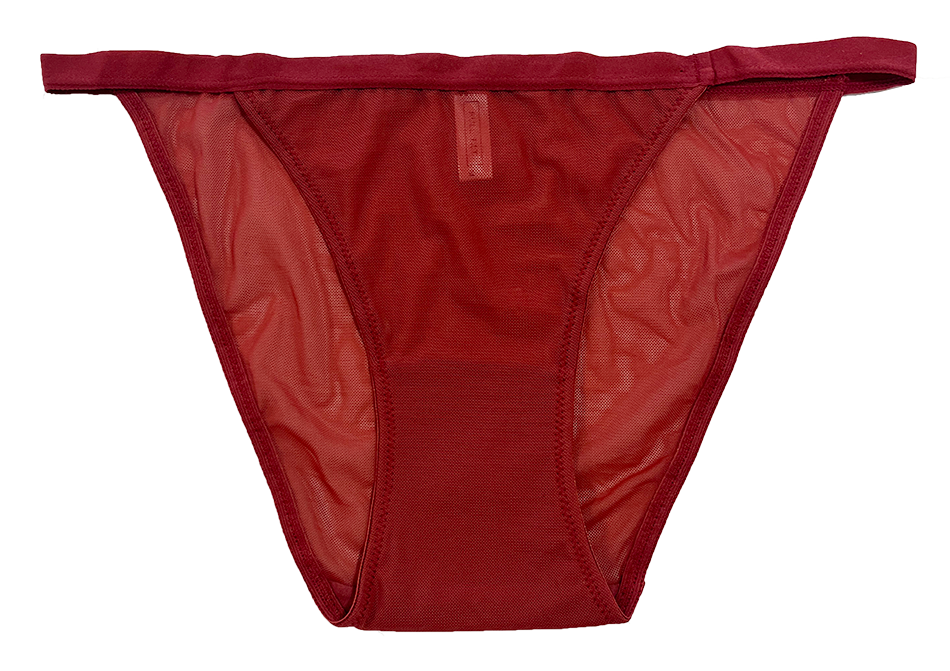 Love Libby Panties Mesh Bikini with Elastic Waist, XS-2X - Buy More Save More — main product shot