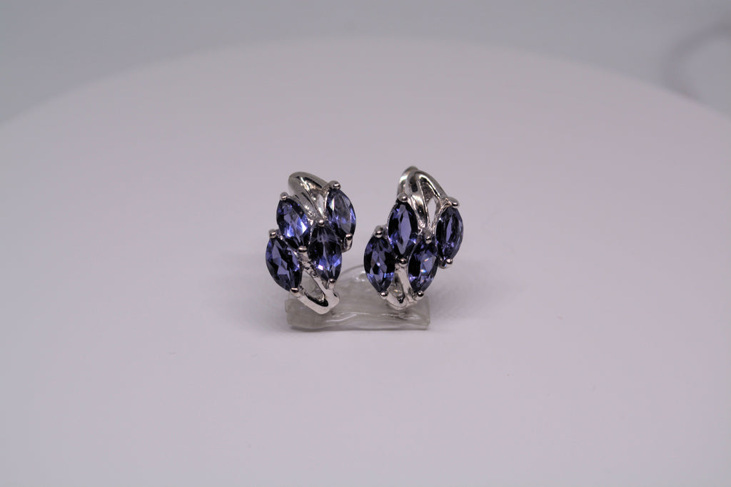 Just Neat Stuff Just Neat Stuff Iolite Earrings — lifestyle context
