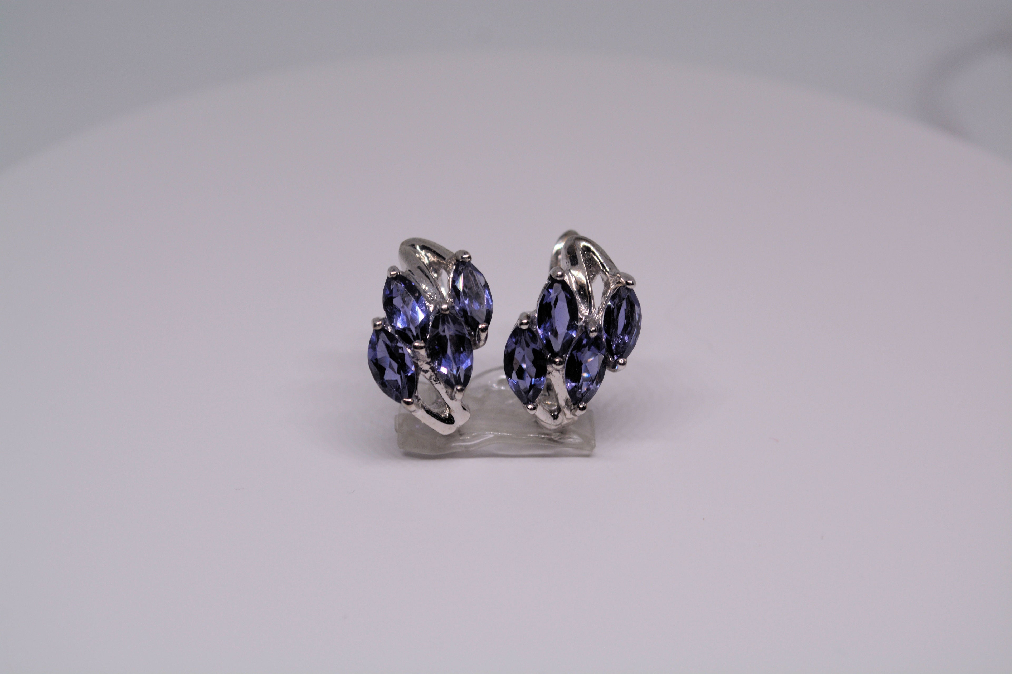 Just Neat Stuff Just Neat Stuff Iolite Earrings — lifestyle context