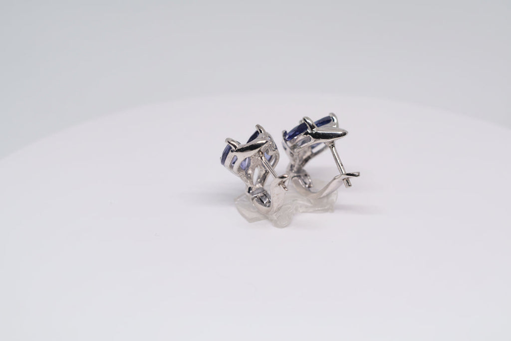 Just Neat Stuff Just Neat Stuff Iolite Earrings — back view