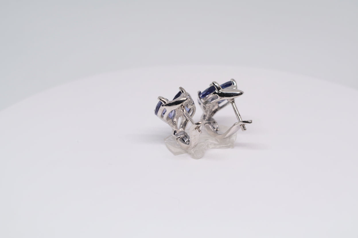 Just Neat Stuff Just Neat Stuff Iolite Earrings — back view