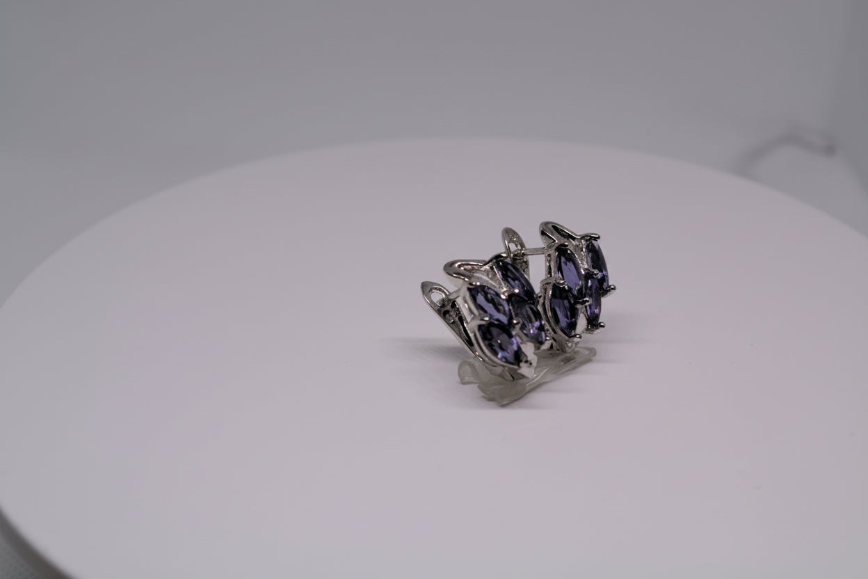 Just Neat Stuff Just Neat Stuff Iolite Earrings — in-use photo