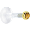 BodyCandy Solid 14K Yellow Gold 2mm Genuine Tiger Eye Bioplast Push in Monroe — main product shot