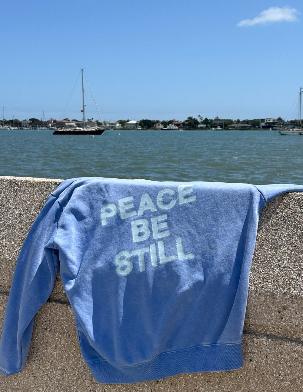 Elevated Faith Peace Be Still Unisex Hoodie — comparison shot